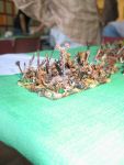 OAD2k4_WFB_003
