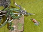 Dragon des forêts 03
